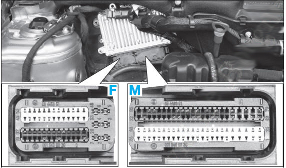 Affectation des bornes des connecteurs du calculateur de gestion moteur